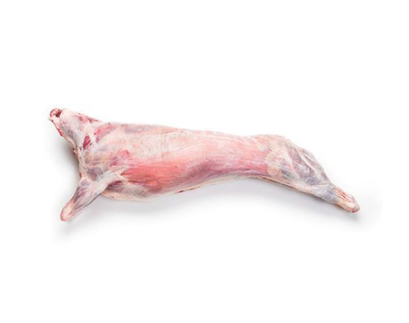 lamb carcass